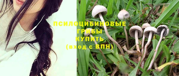 apvp Дмитровск