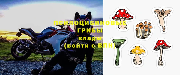 apvp Дмитровск