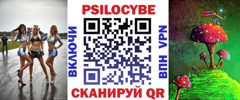 Купить закладки  Новокубанск  Псилоцибиновые грибы GOLDEN TEACHER 